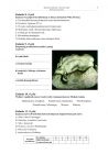 miniatura Pytania - historia sztuki, p. rozszerzony, matura 2012-strona-05