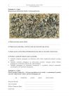 miniatura pytania-historia-sztuki-poziom-podstawowy-matura-2014-str.4