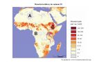 miniatura Mapa obsady bydła w Afryce do zadania 29 strona - IV barwnego materiału źródłowego