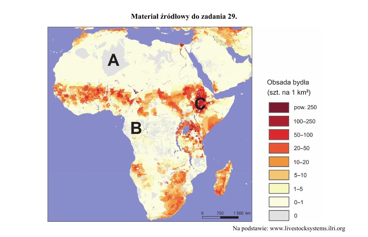 Mapa obsady bydła w Afryce do zadania 29 strona - IV barwnego materiału źródłowego