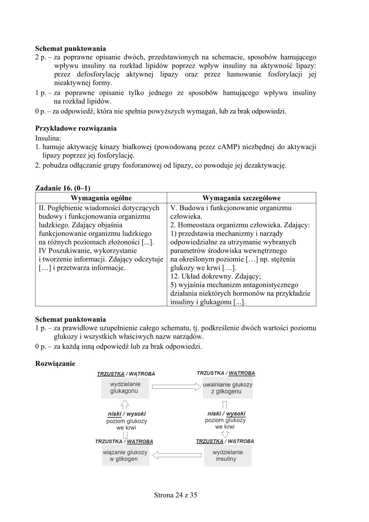 matura-2016-biologia-p-rozszerzony-odpowiedzi - 24