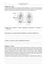 miniatura Pytania - biologia, p. rozszerzony, matura 2010-strona-08