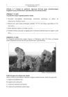 miniatura Pytania - geografia, p. podstawowy, matura 2010-strona-02