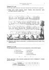 miniatura Pytania - historia muzyki, p. rozszerzony, matura 2010-strona-05