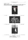 miniatura Pytania - wiedza o tancu, p. podstawowy, matura 2010-strona-11