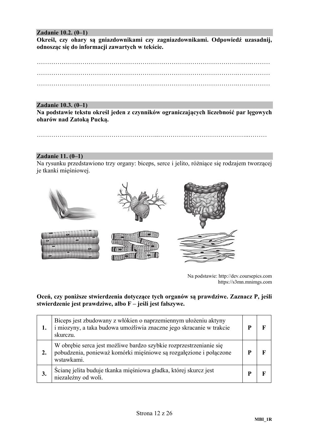 arkusz - biologia rozszerzony - matura 2020-12