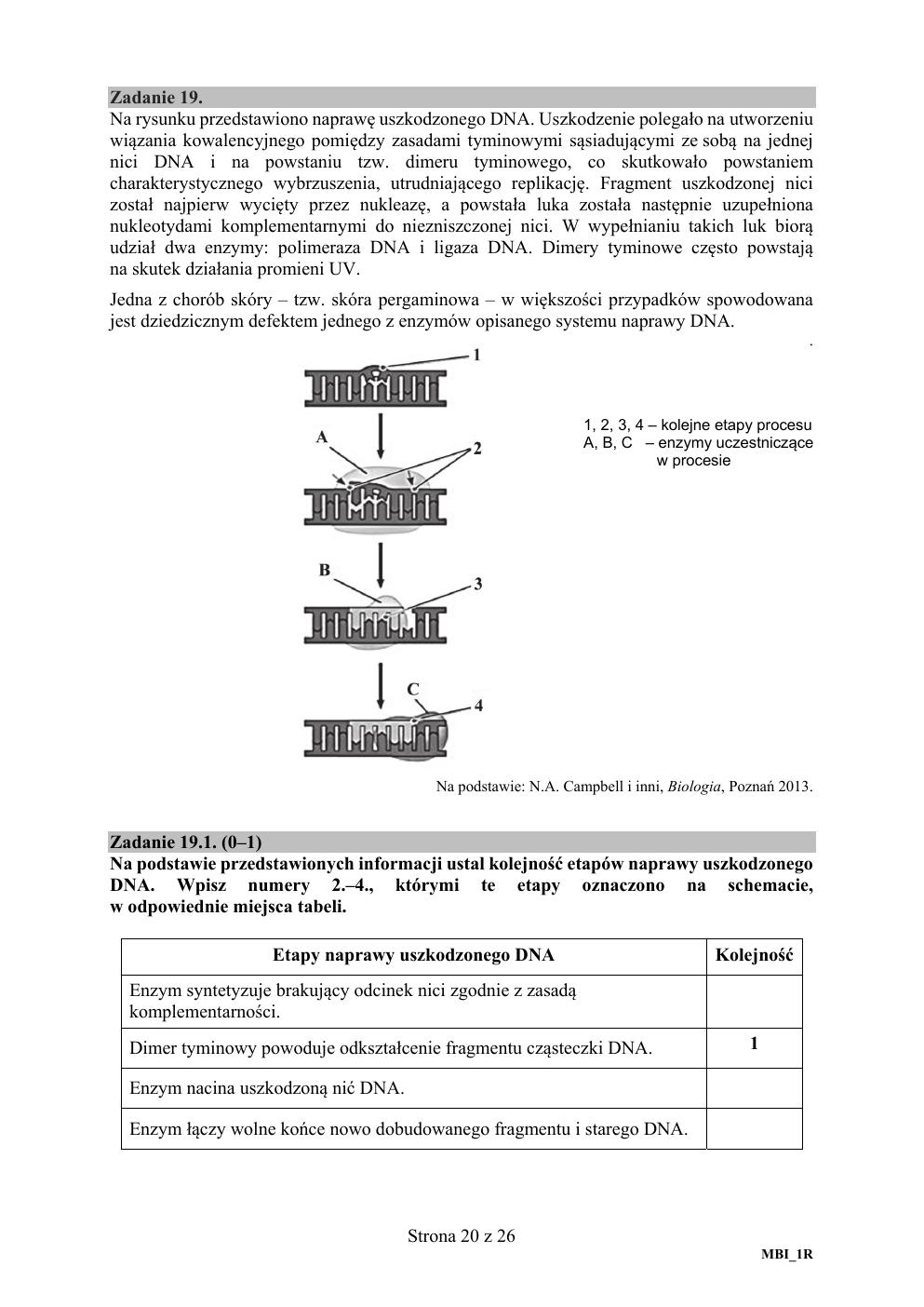 arkusz - biologia rozszerzony - matura 2020-20