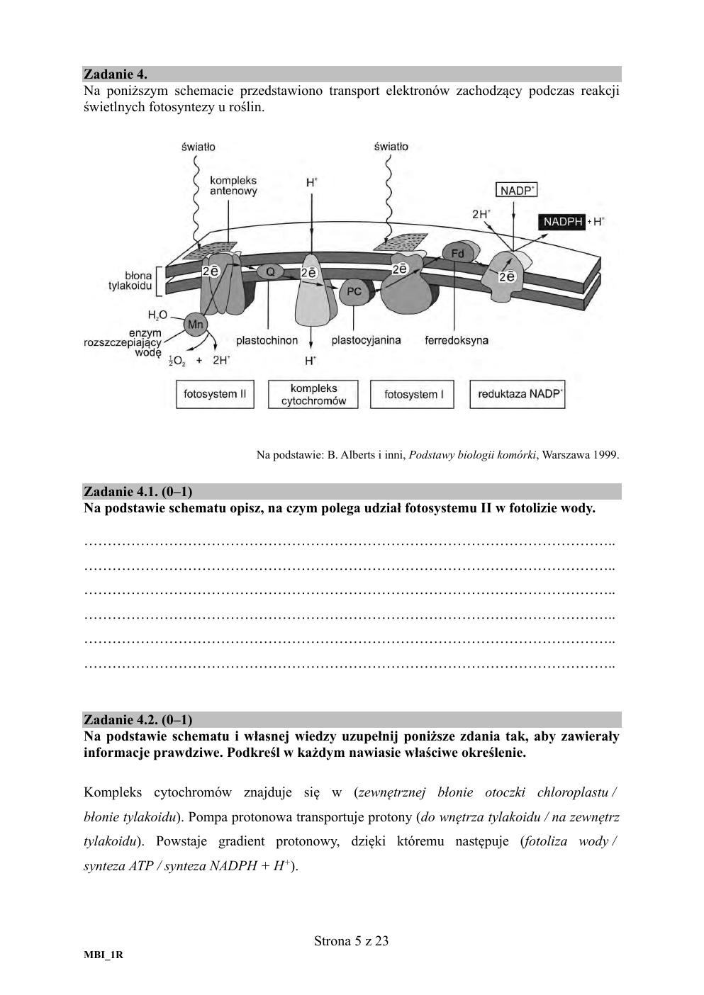 arkusz - biologia rozszerzony - matura 2020 próbna-05