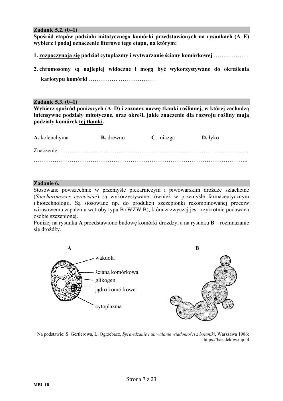 arkusz - biologia rozszerzony - matura 2020 próbna-07