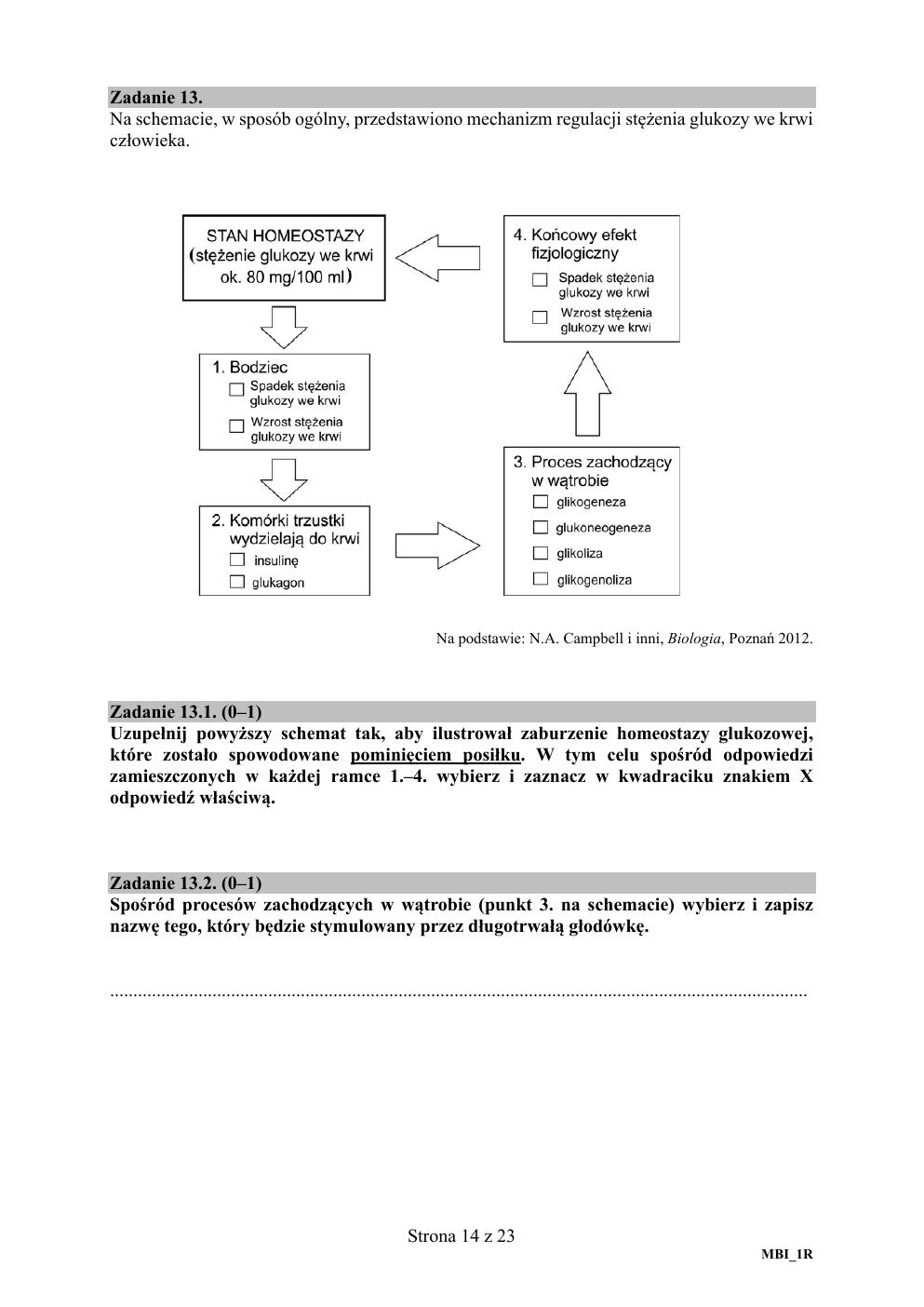 arkusz - biologia rozszerzony - matura 2020 próbna-14