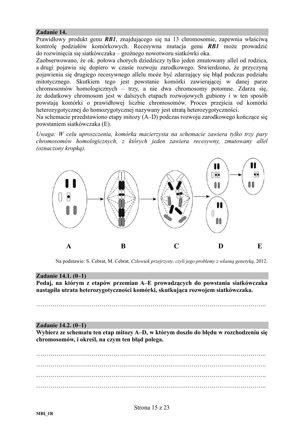 arkusz - biologia rozszerzony - matura 2020 próbna-15