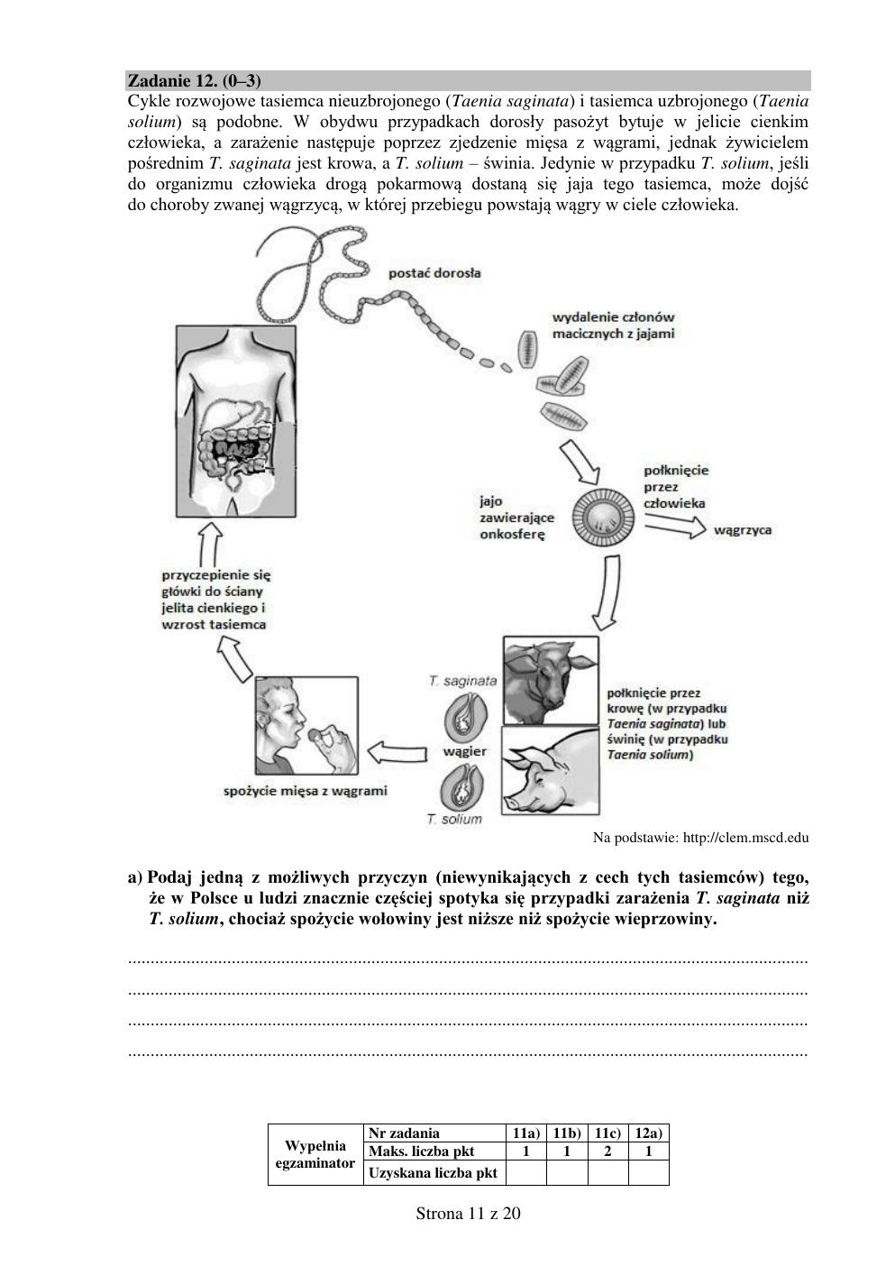 biologia rozszerzony - matura próbna 2015 - arkusz-11