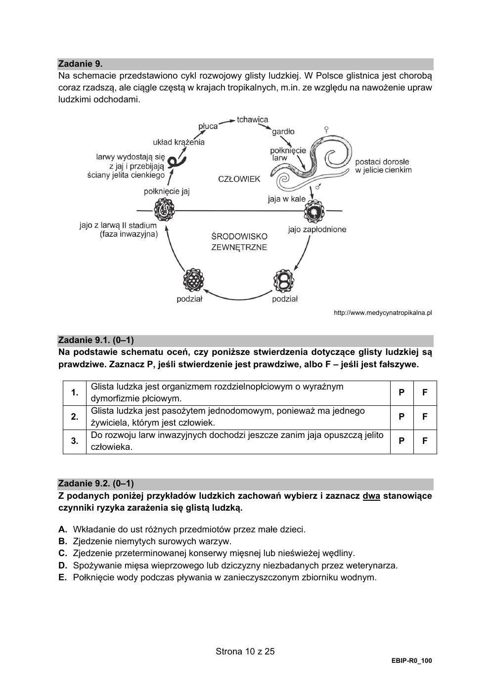 arkusz - biologia rozszerzony - matura 2021 próbna-10