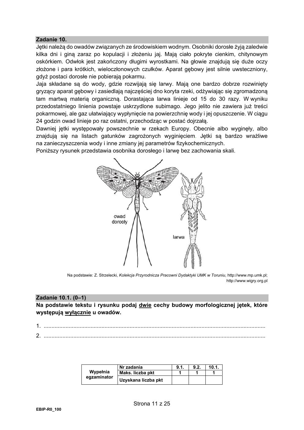 arkusz - biologia rozszerzony - matura 2021 próbna-11