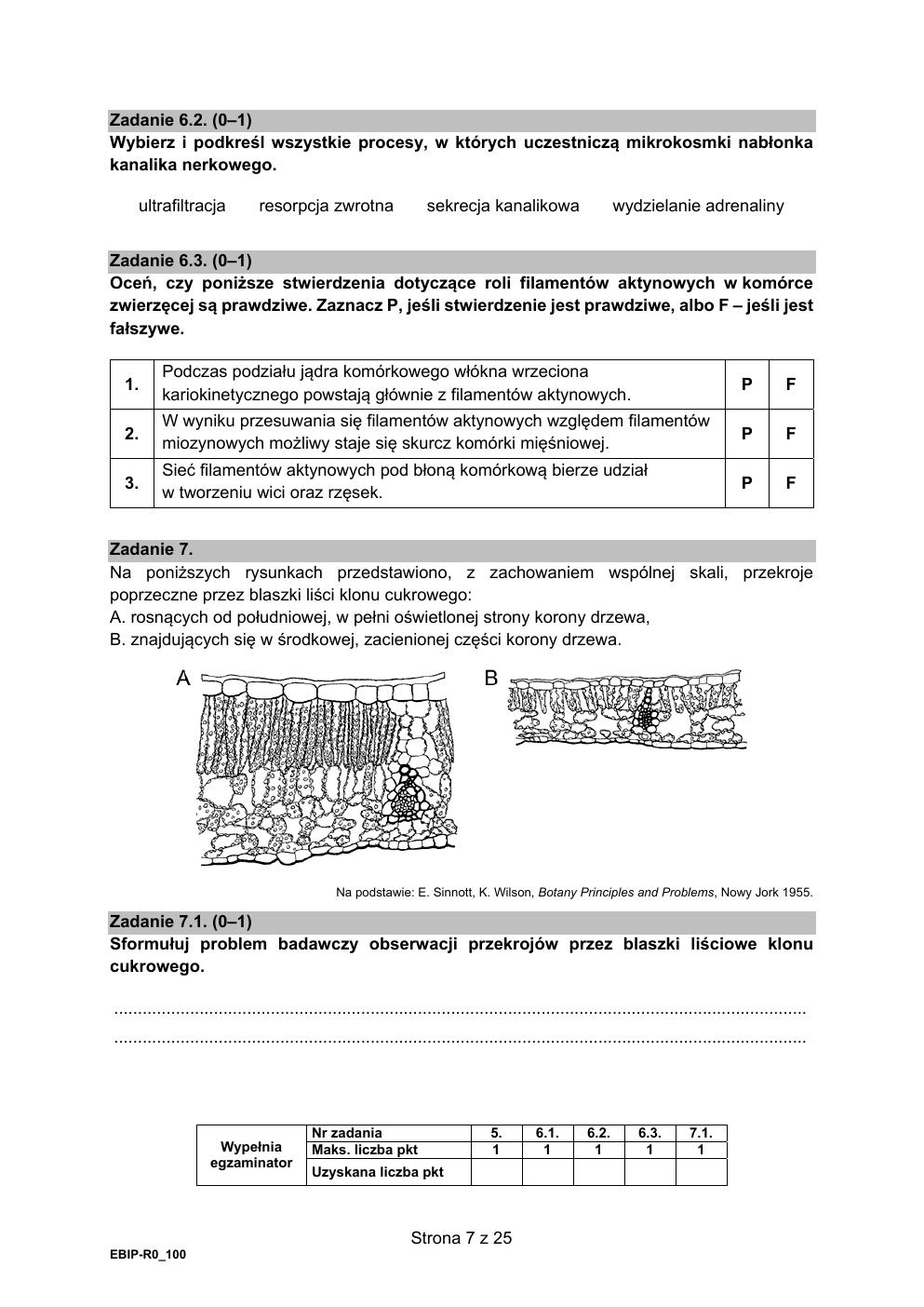 arkusz - biologia rozszerzony - matura 2021 - maj-07