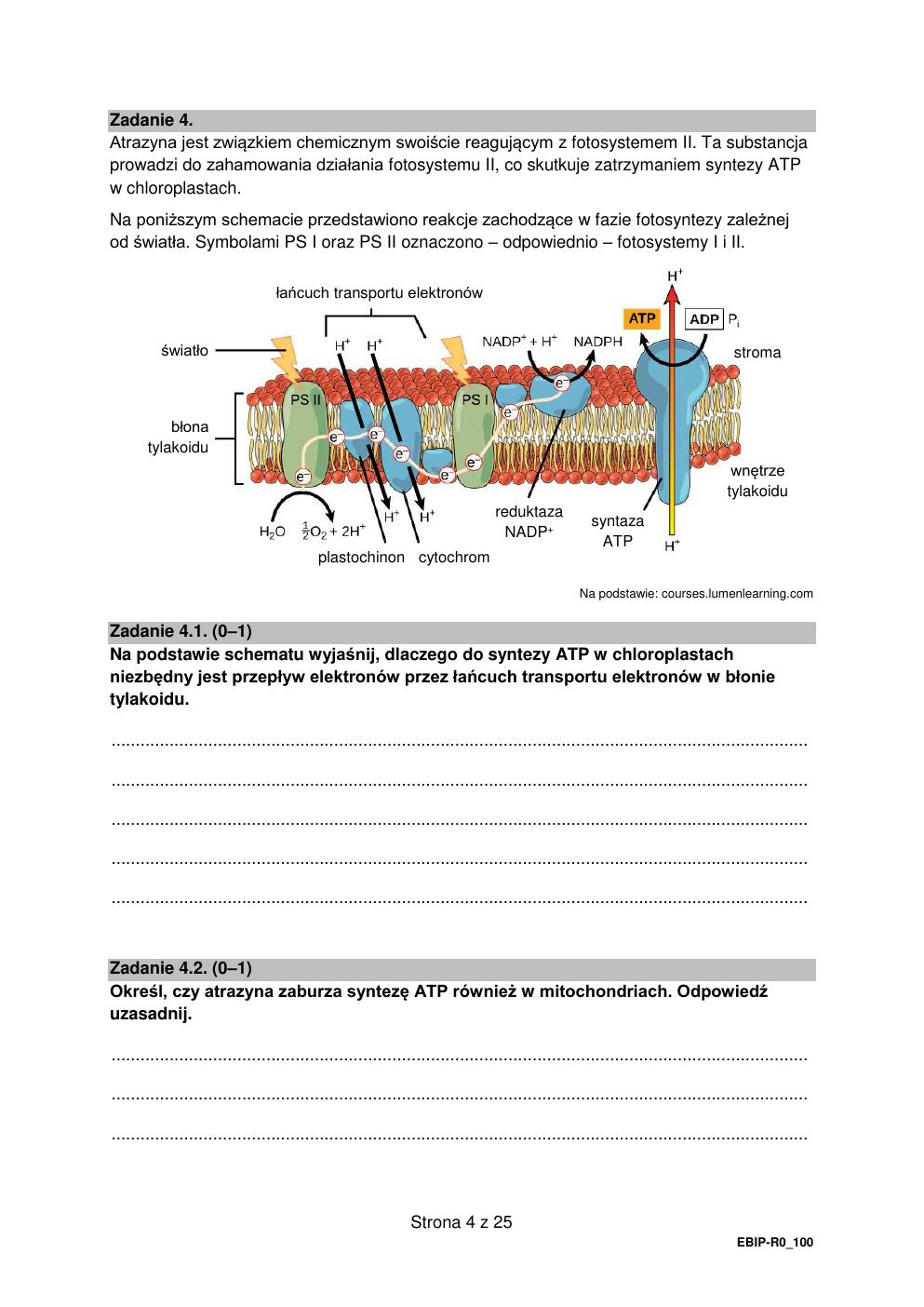 arkusz - biologia rozszerzony - matura 2022 - maj-04