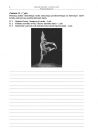miniatura Pytania - wiedza o tancu, p. podstawowy, matura 2011-strona-06