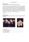 miniatura Pytania - wiedza o tancu, p. rozszerzony, matura 2012-strona-10