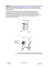 miniatura arkusz - biologia - matura 2023 - maj - 0016