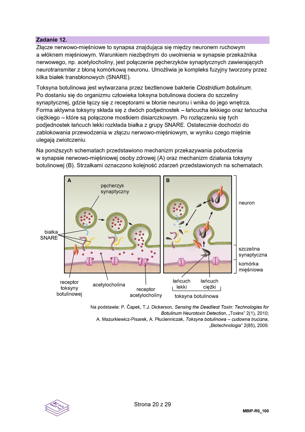 arkusz - biologia - matura 2023 - maj - 0020