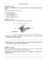 miniatura pytania-biologia-poziom-rozszerzony-matura-2012-06
