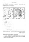 miniatura Pytania - geografia, p. rozszerzony, matura 2012-strona-10