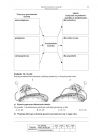 miniatura Pytania - geografia, p. rozszerzony, matura 2012-strona-11