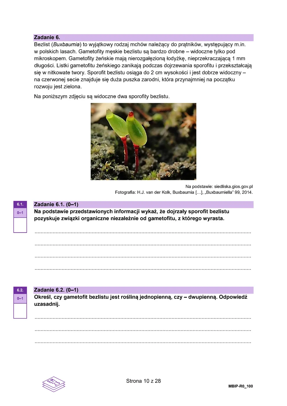 arkusz - biologia - matura 2024 - maj - 0010