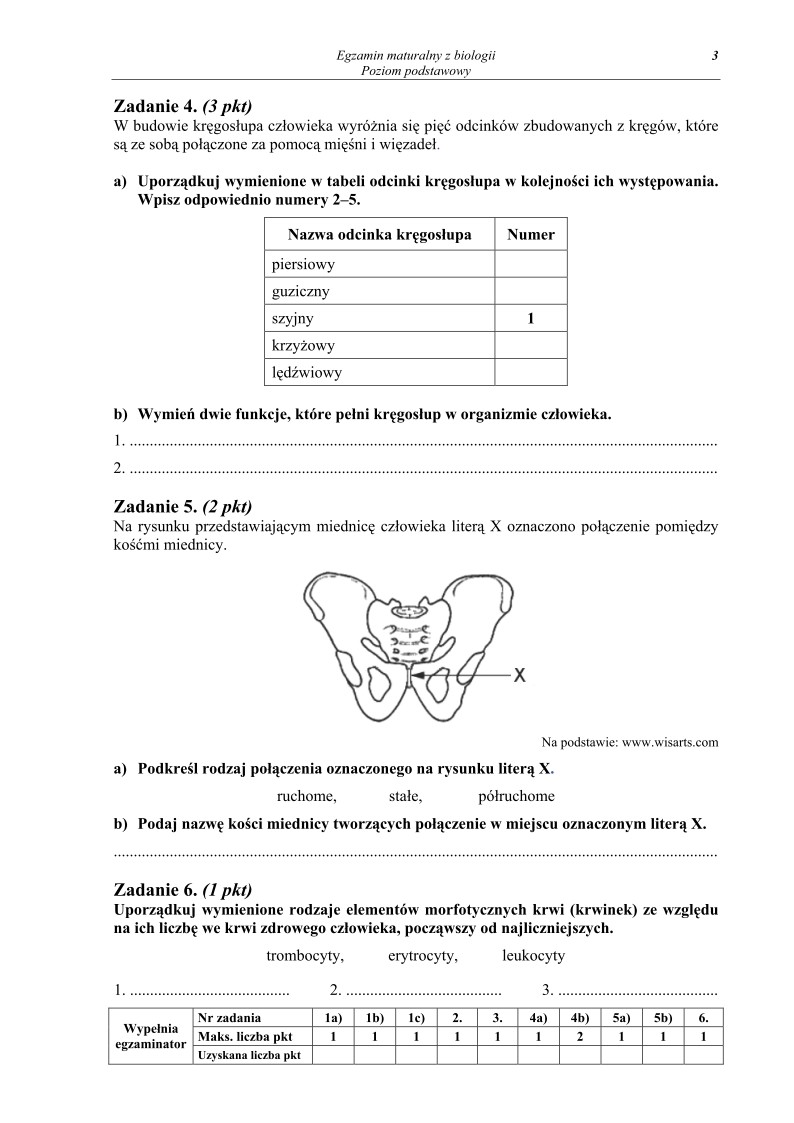 Pytania - biologia, p. podstawowy, matura 2013-strona-03