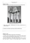 miniatura Pytania - historia, p. podstawowy, matura 2013-strona-02