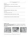 miniatura Pytania - historia dla osób niesłyszących, p. podstawowy, matura 2013-strona-05