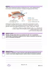 miniatura arkusz - biologia rozszerzony - matura 2025 - maj - 0012