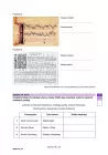miniatura arkusz - Historia muzyki rozszerzony - matura 2025 - maj - 0019