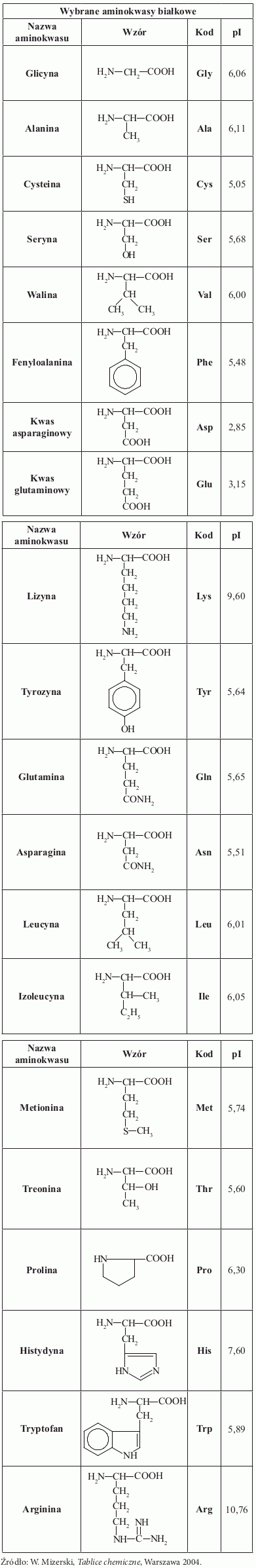 wybrane_aminokwasy_bialkowe.gif