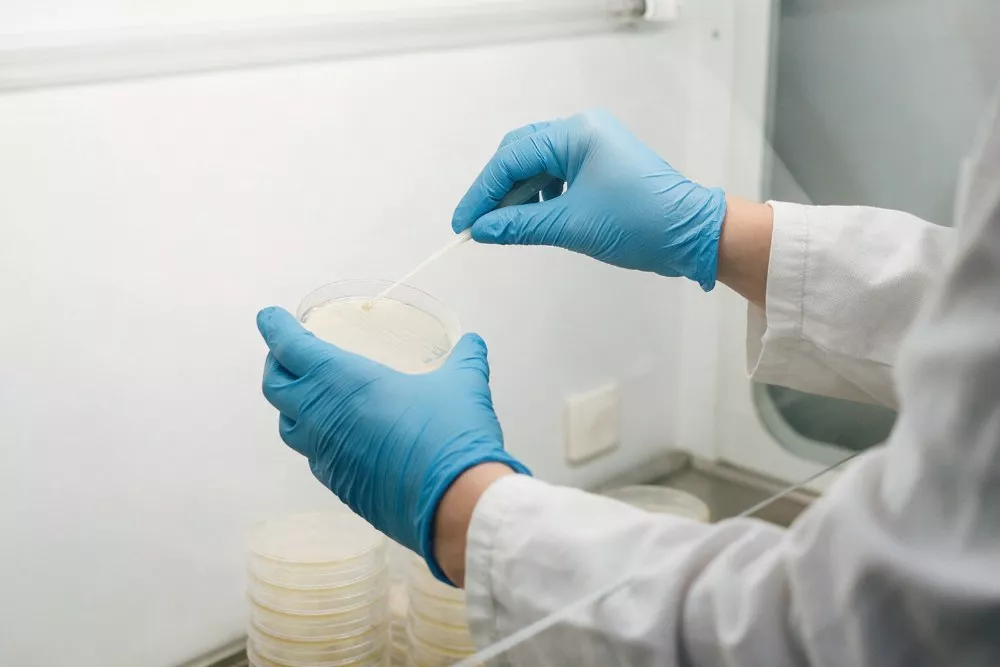 Farmaceuta-specjalista-mikrobiologii-i-biotechnologii-farmaceutycznej-test