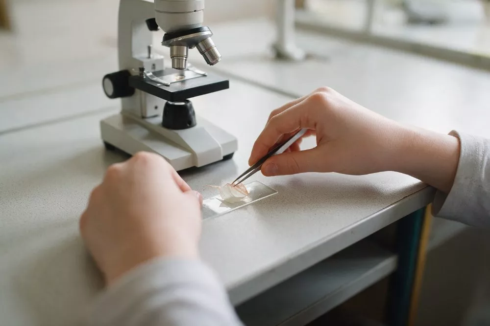 Nauczyciel-biologii-test