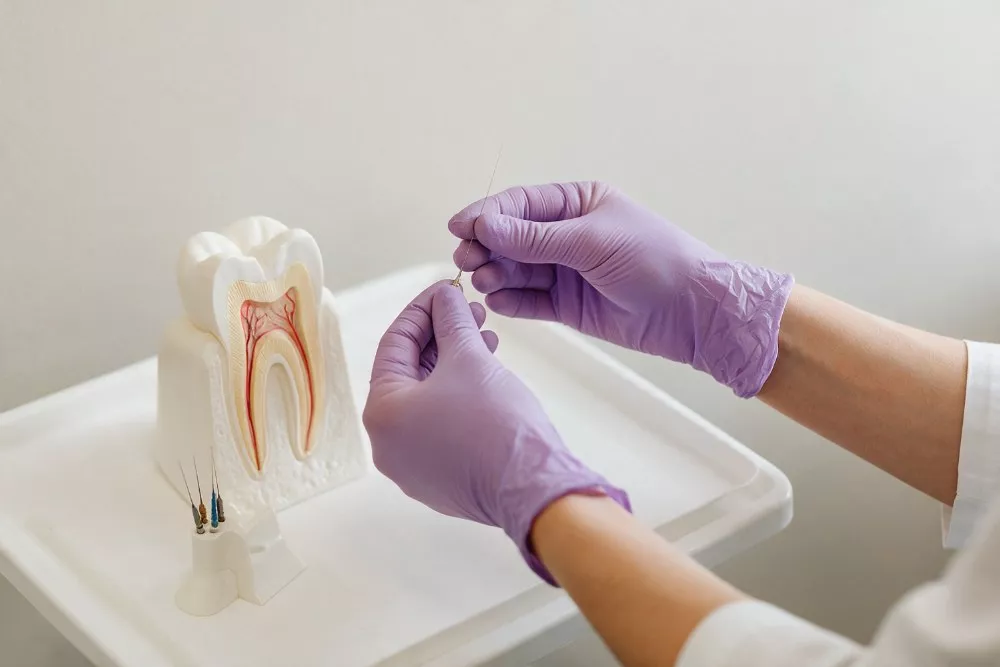Lekarz-dentysta-specjalista-stomatologii-zachowawczej-z-endodoncja-test