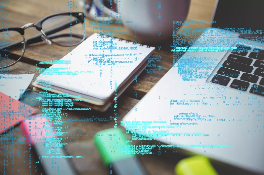 programming-language-workplace